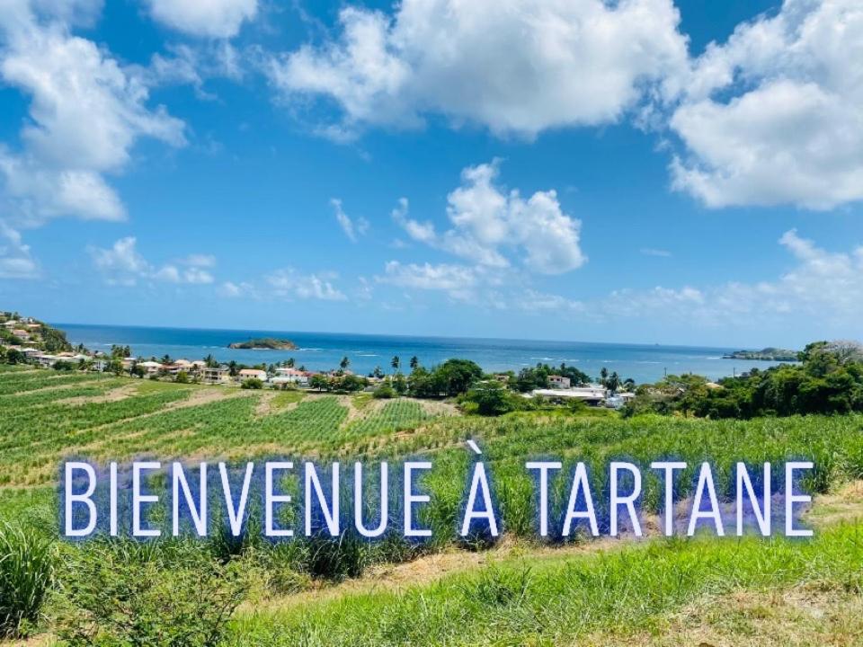 Residence De La Baie - Bleu Soleil Tartane La Trinité Zewnętrze zdjęcie